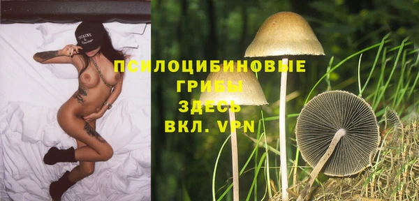 герыч Алзамай